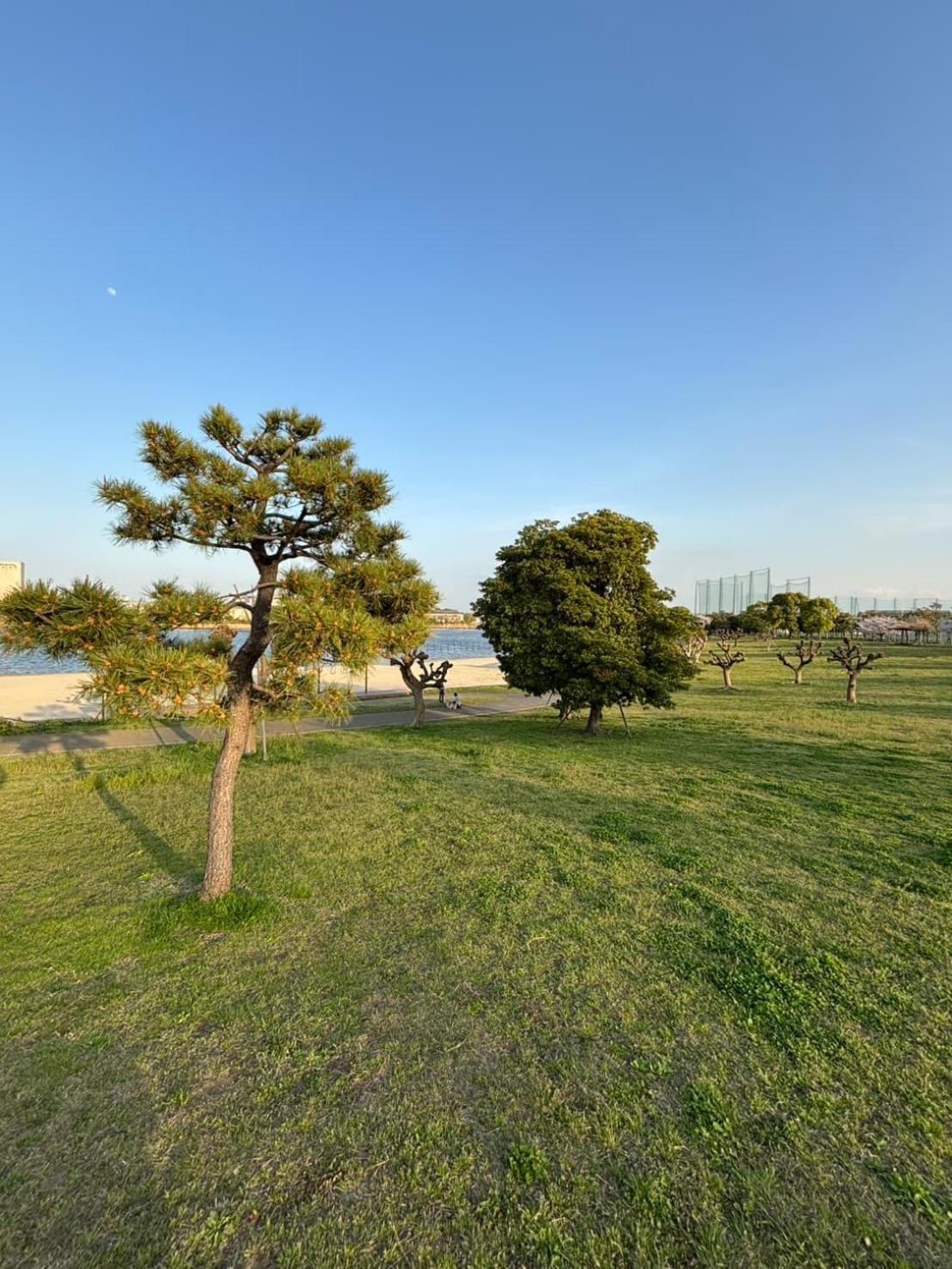 Vacation Inn Heiwajima I Токіо Екстер'єр фото